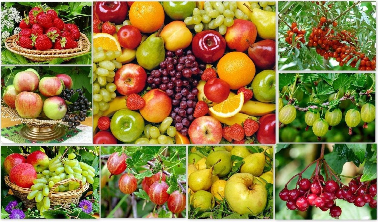 Плодово ягодные культурные растения