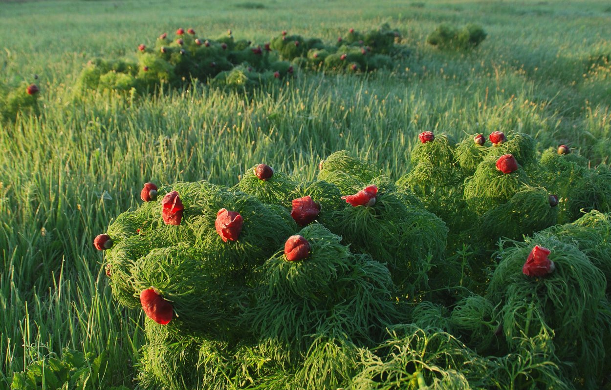 Природный парк Ровеньский в Белгородской области