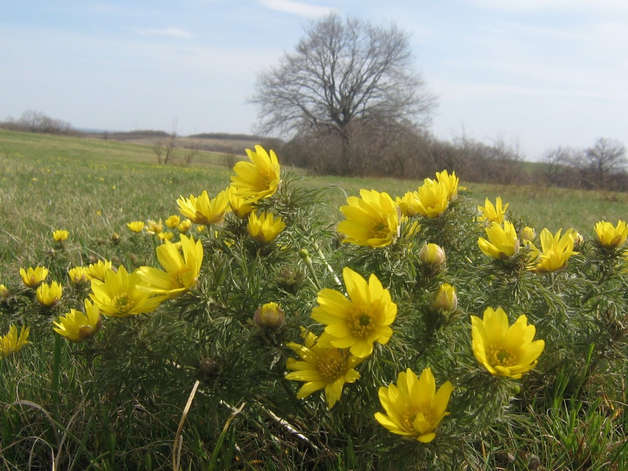 Устьмедведевский природный парк