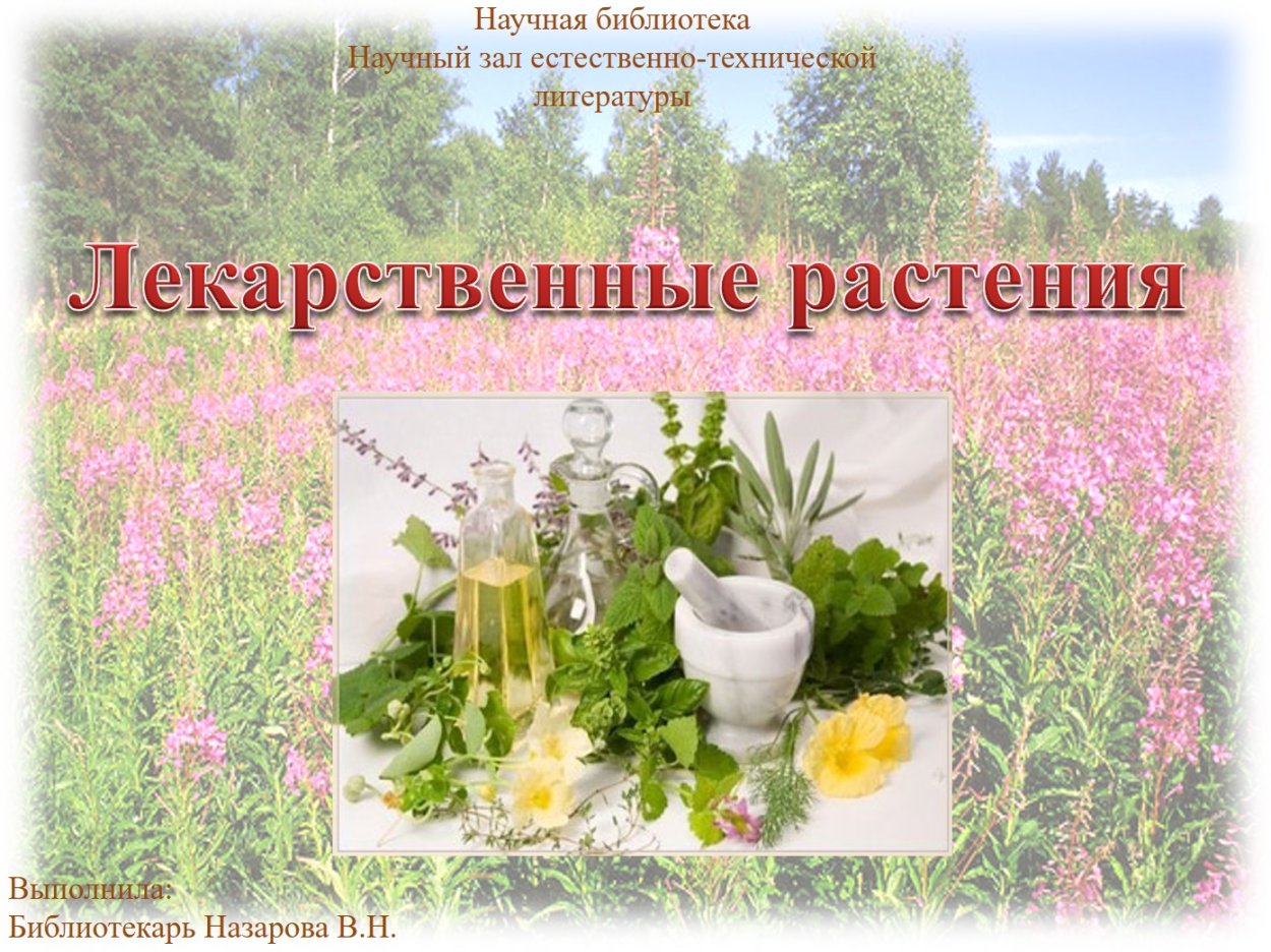 Надпись лекарственные растения красивая