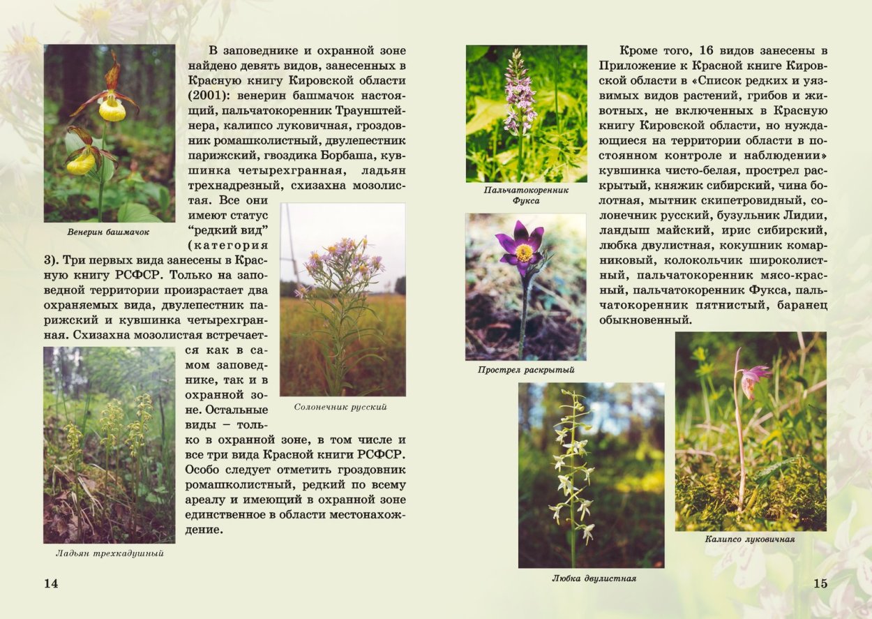 Растительность Кировской области