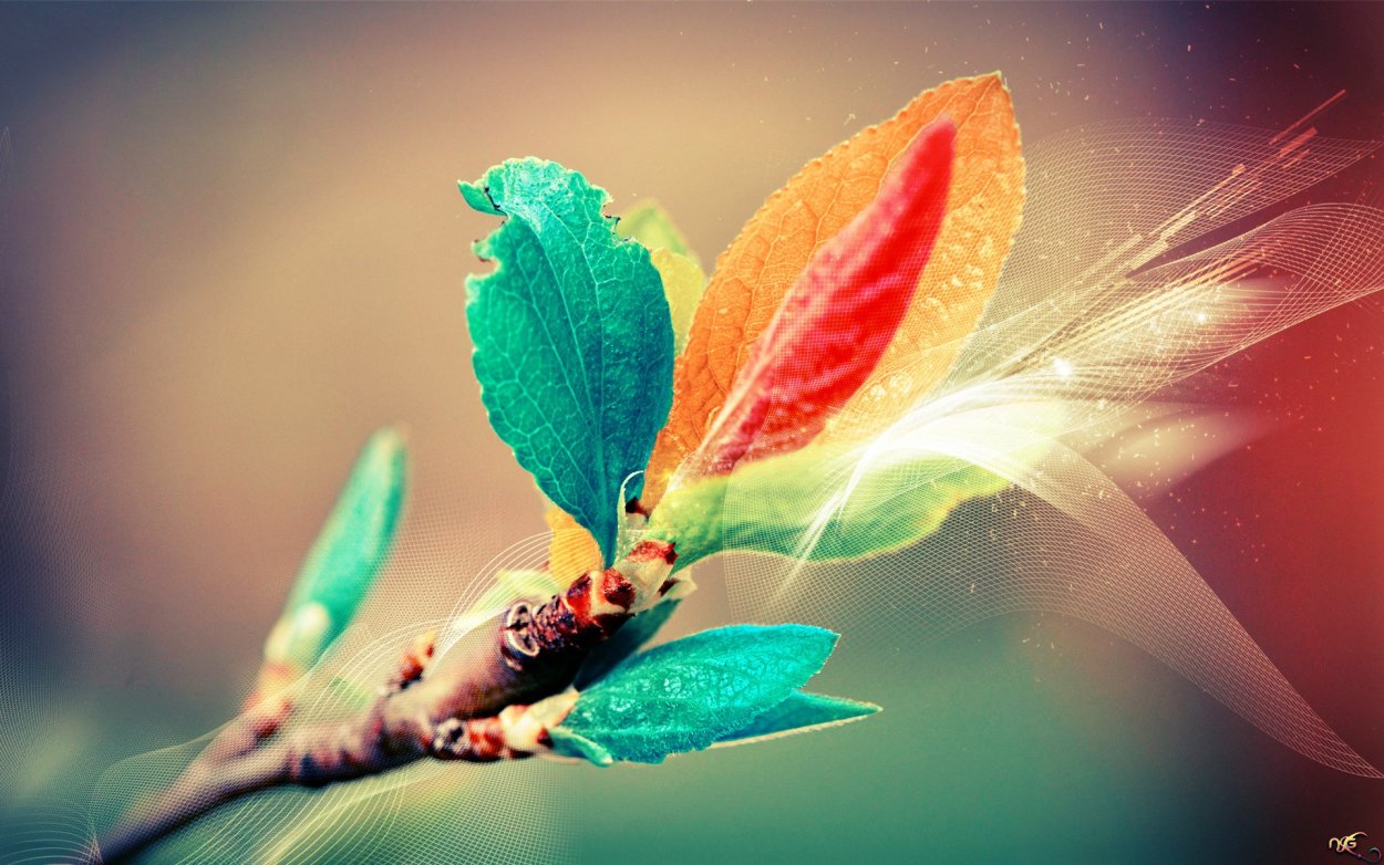 Обои на рабочий стол макро