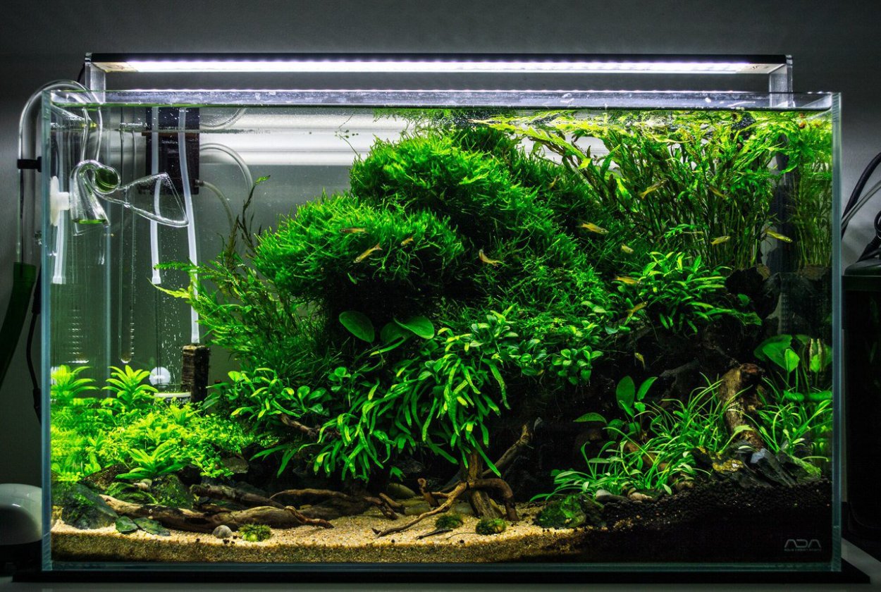 Акваскейпинг нано куб 30