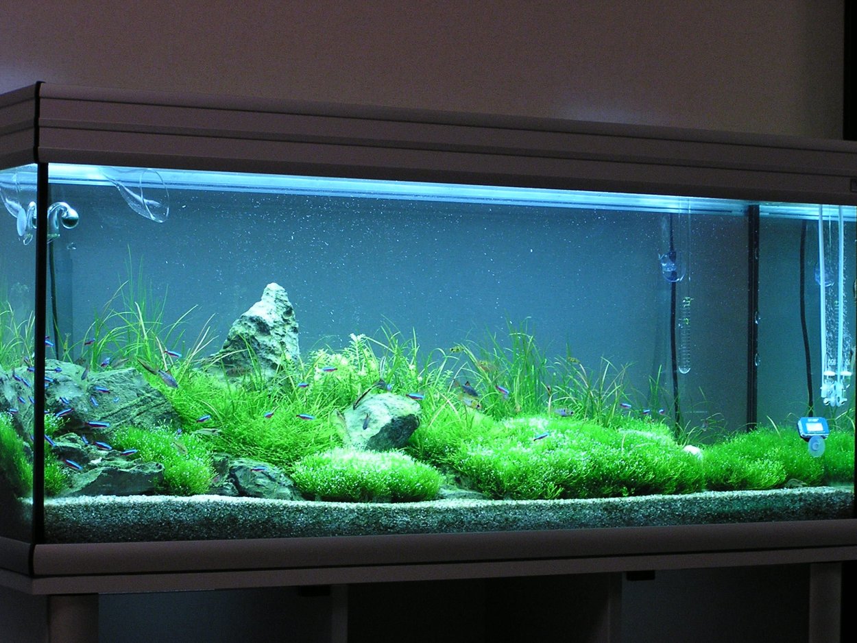 Аквариум по размерам