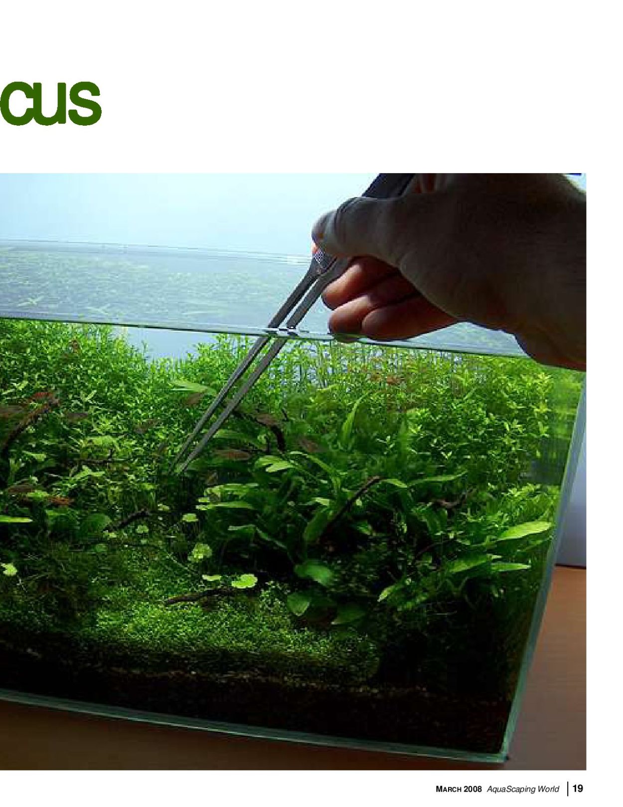 Акваскейп 70 литров