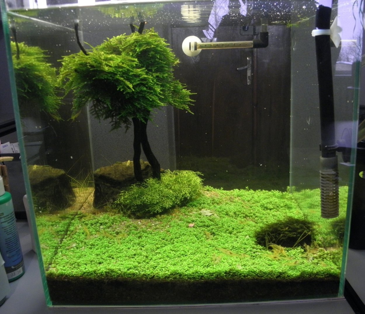 Креветочник 30л