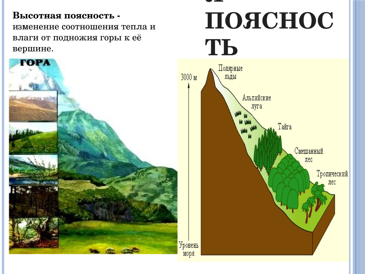 Зоны ВЫСОТНОЙ поясности в России