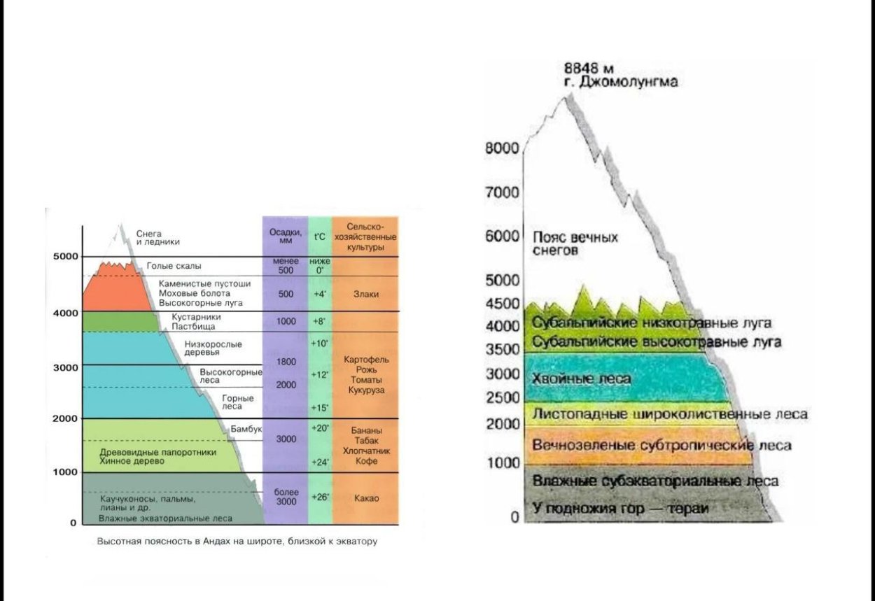 Сравнение высотной поясности кавказа и алтая. Высотная поясность в горах Алтая. Природные зоны Кавказа Высотная поясность. Высотные пояса в Гималаях и Альпах таблица. Высотная поясность Гималаев.