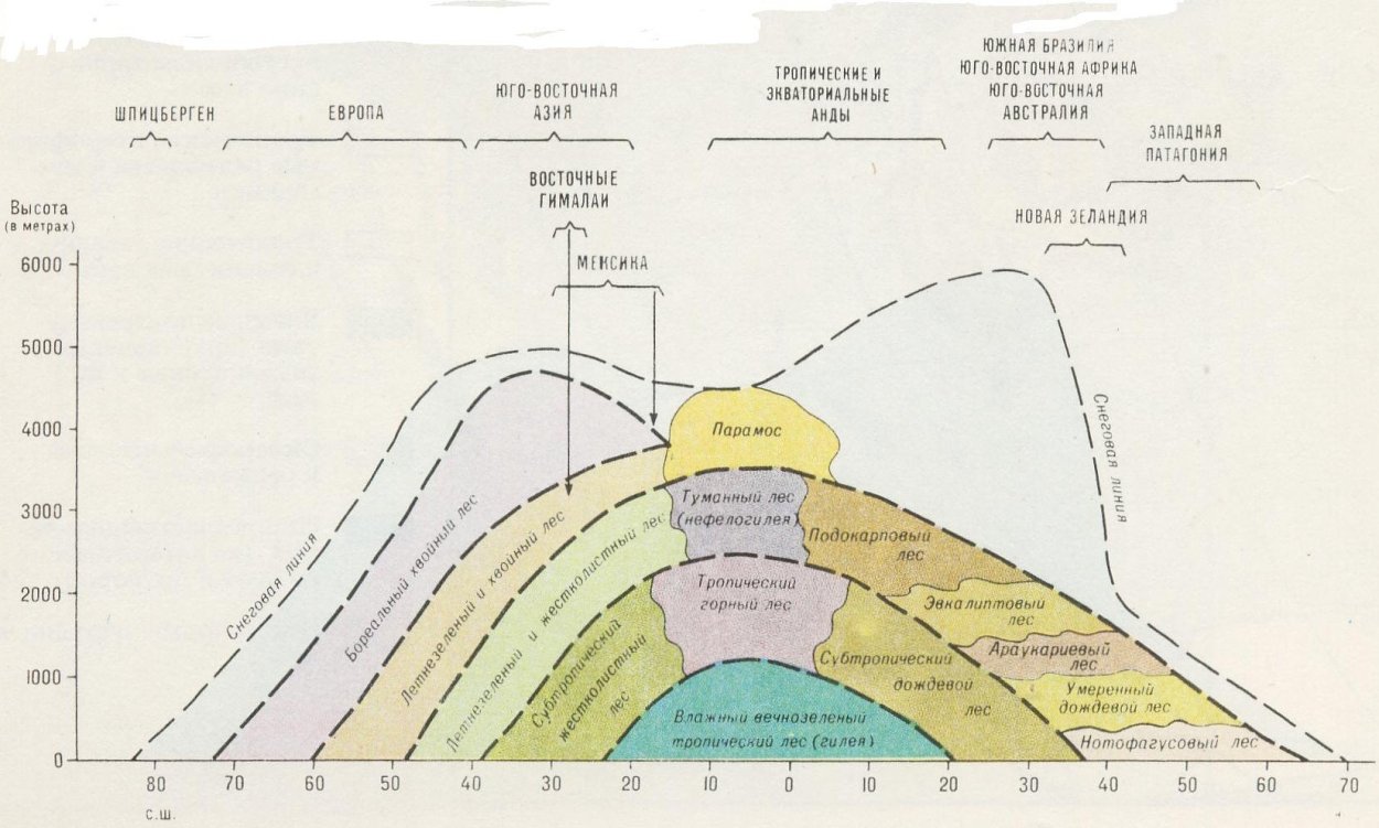 Высотная поясность крымских гор