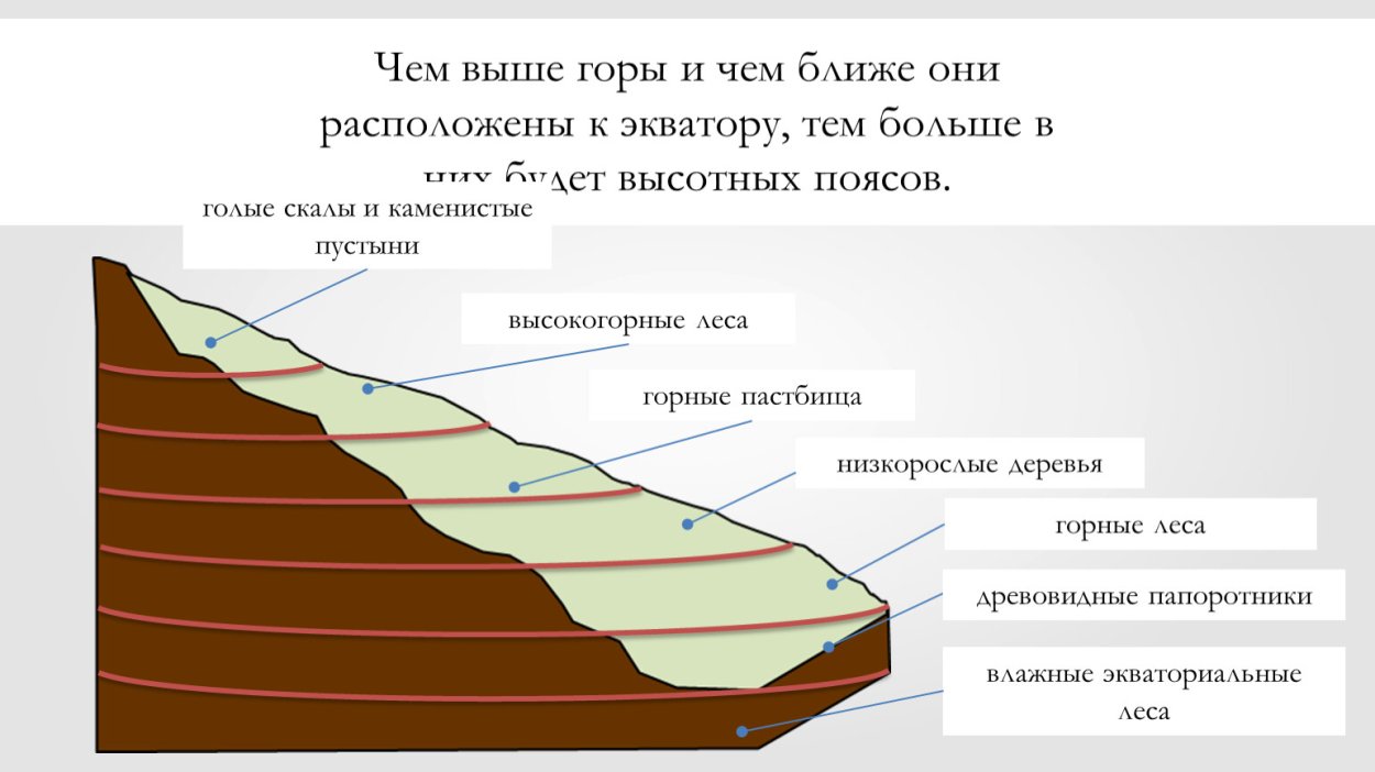 Зональность географической оболочки