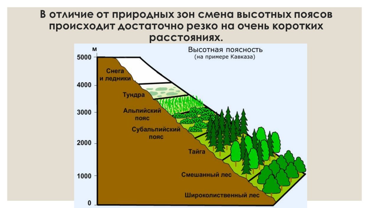 Широтная зональность и высотная поясность 7 класс