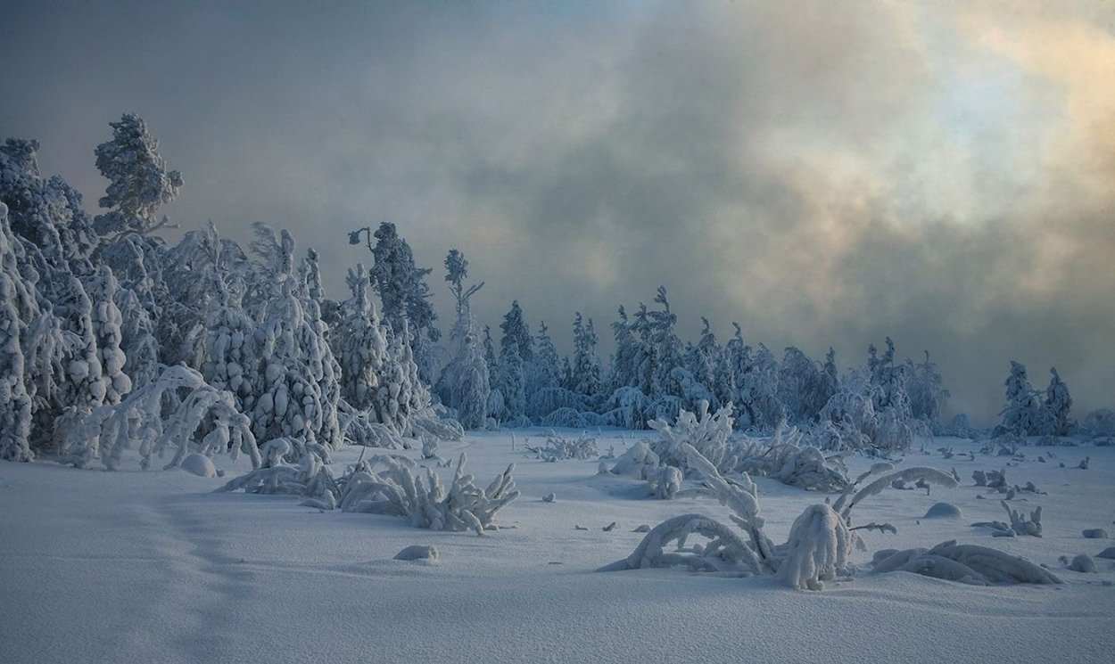 Пейзажи ХМАО-Югры