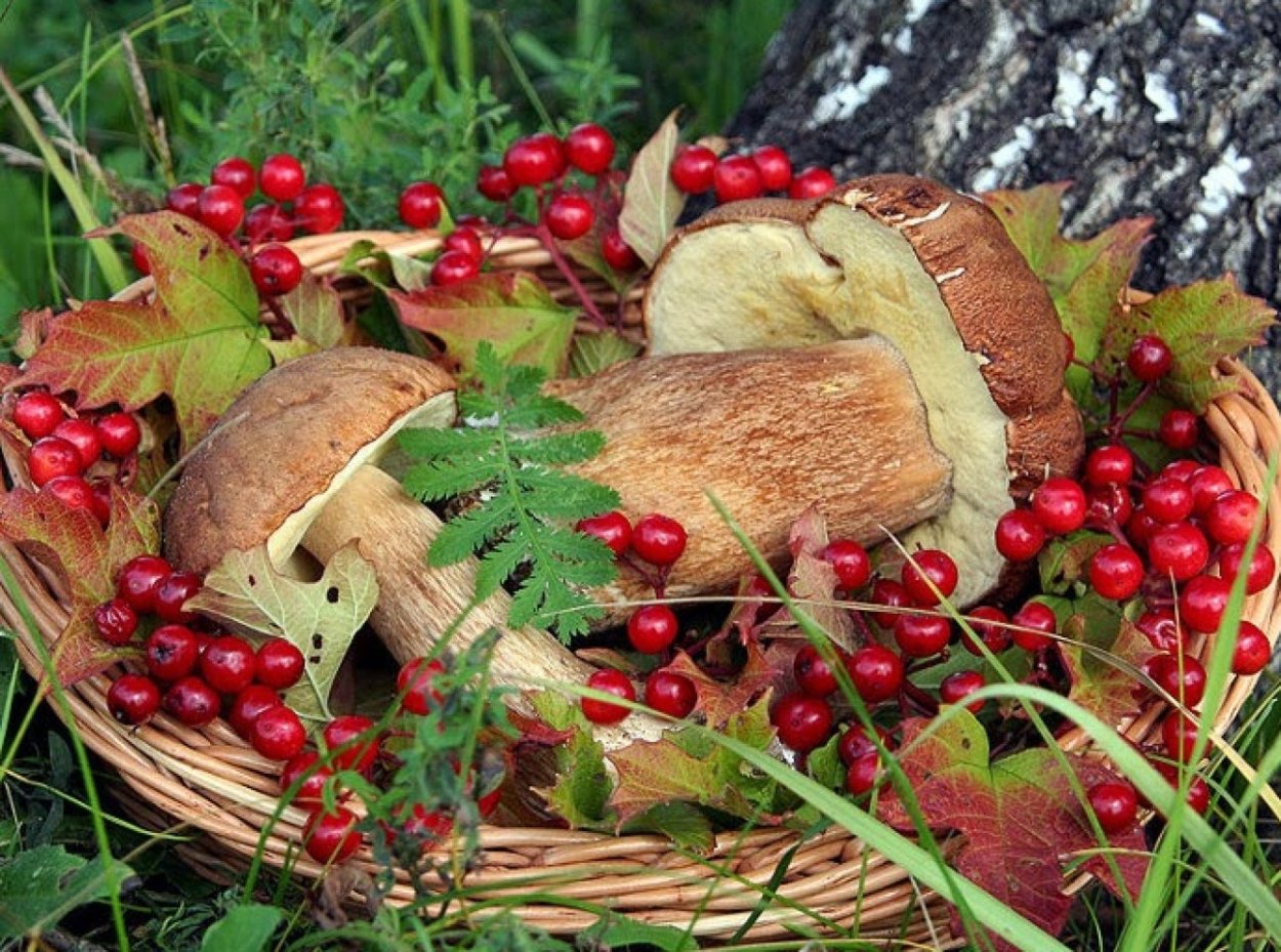 Мария Ягодница 4 августа праздник