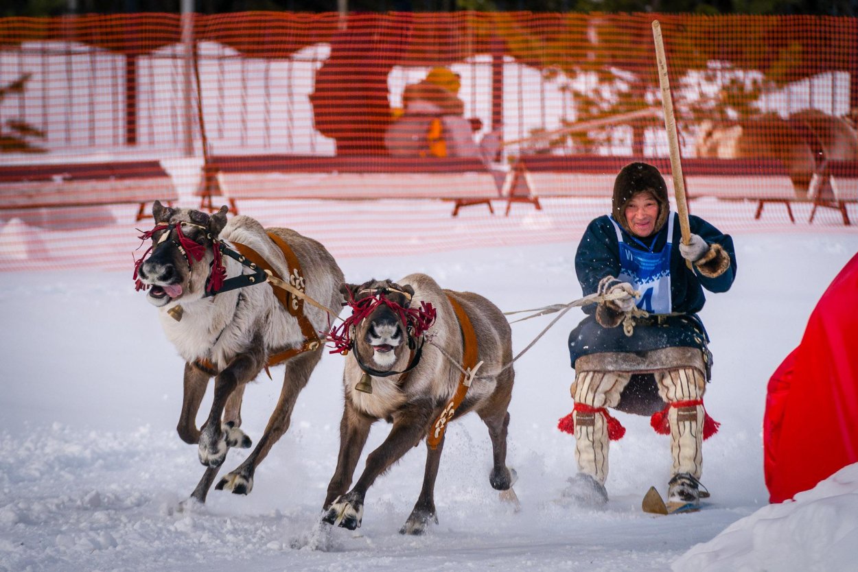 День олениводаханты и манси»