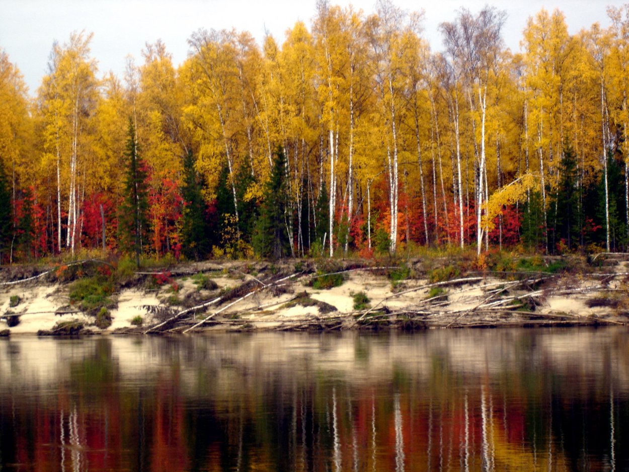 Северная Тайга ЯНАО