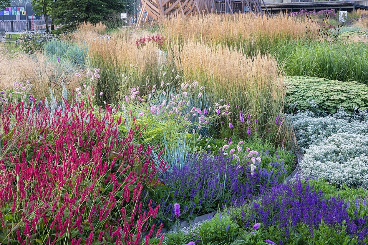 Сад новая Голландия в Санкт-Петербурге