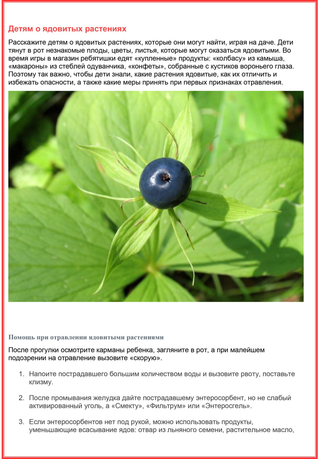 Ядовитые растения