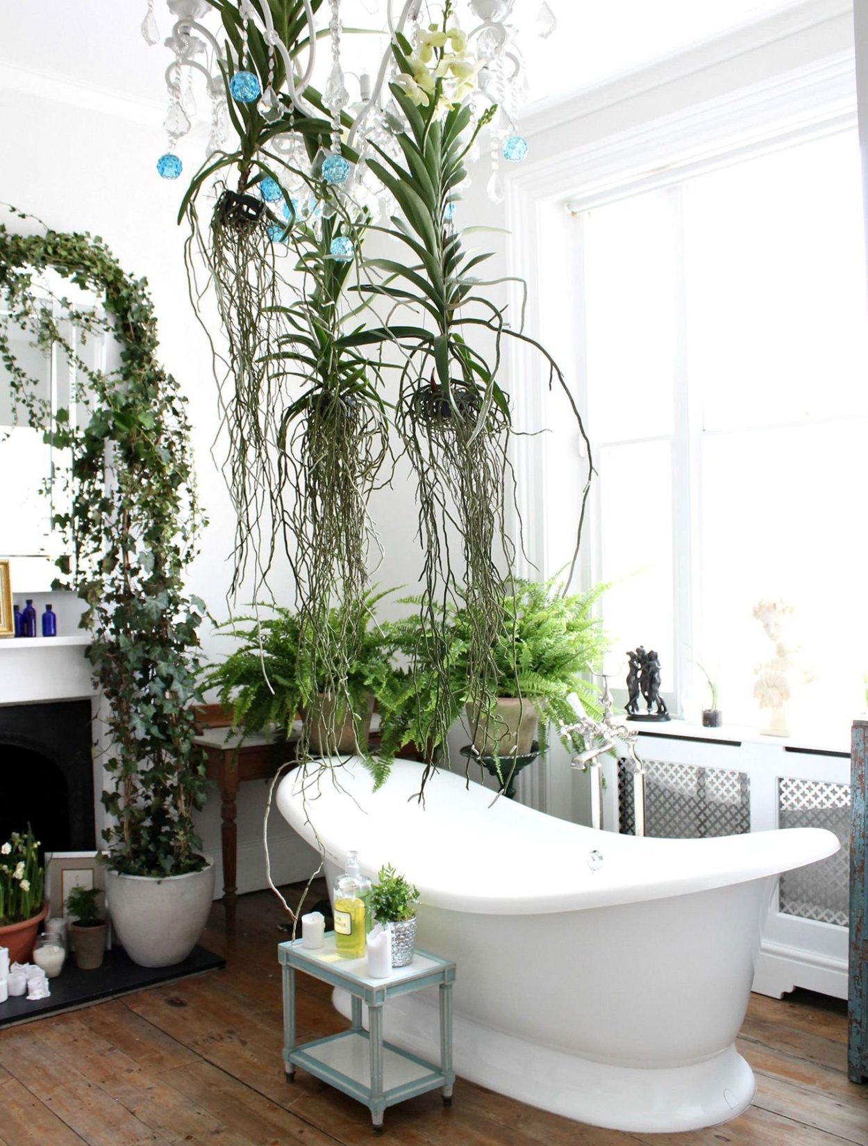 Растения в ванной комнате