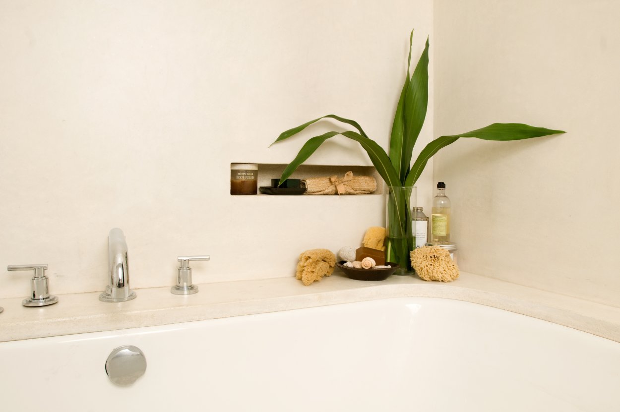 Фэн шуй ванная растения