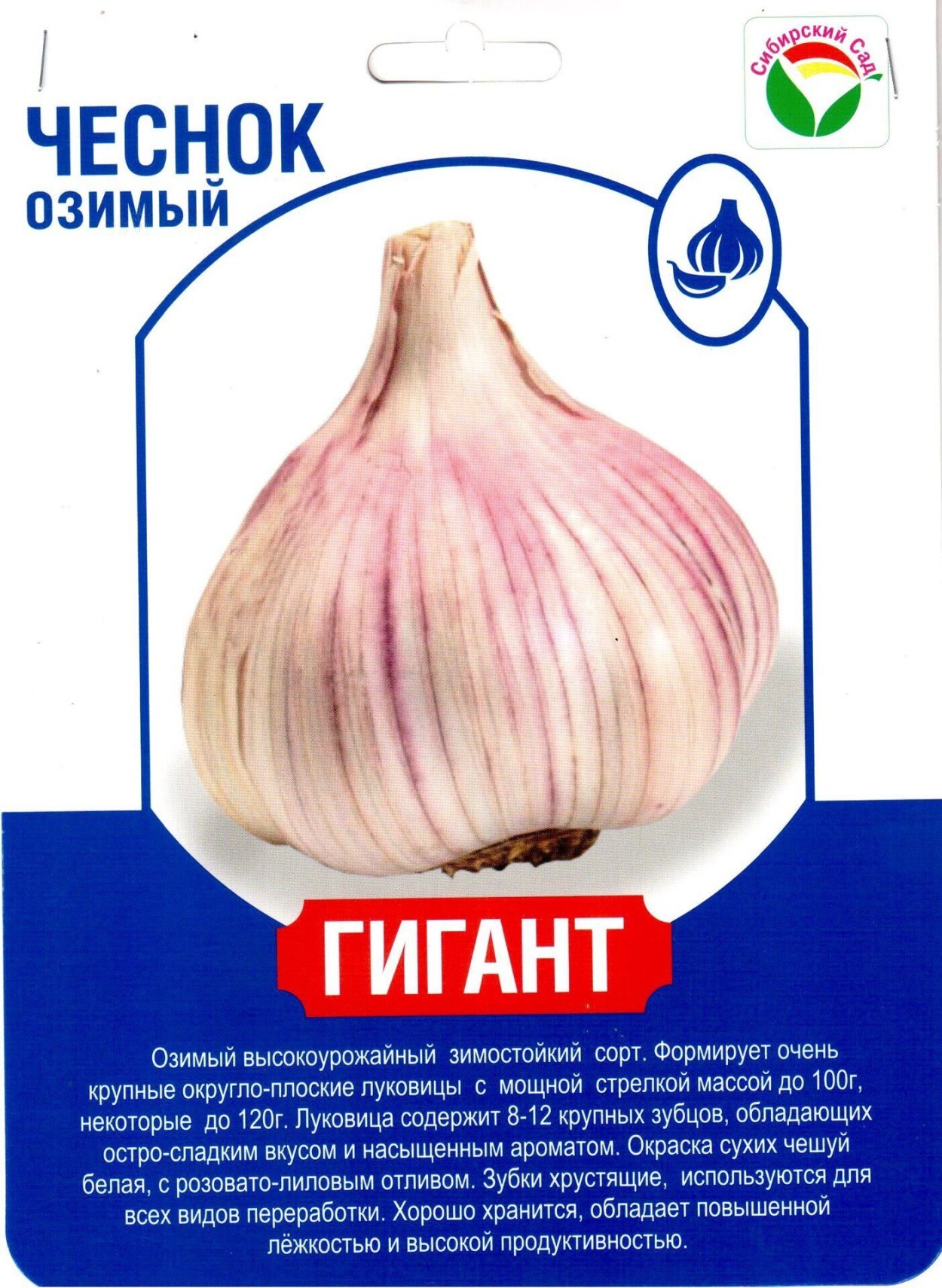 Из чеснока для садика