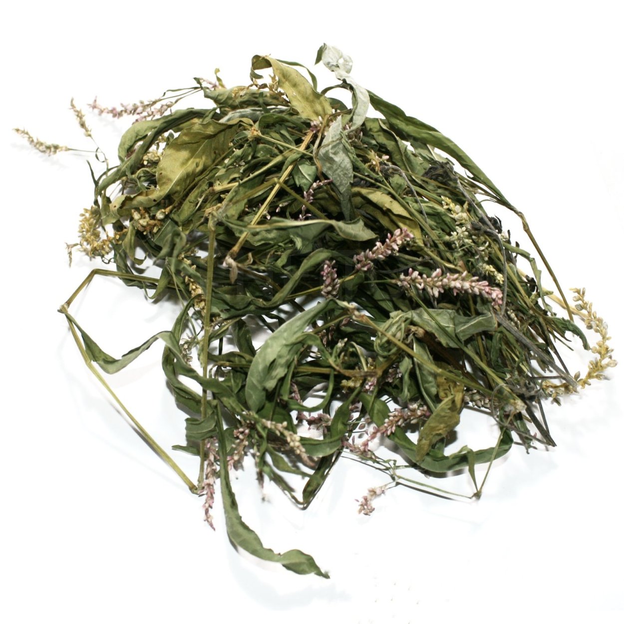 Трава горца почечуйного сырье