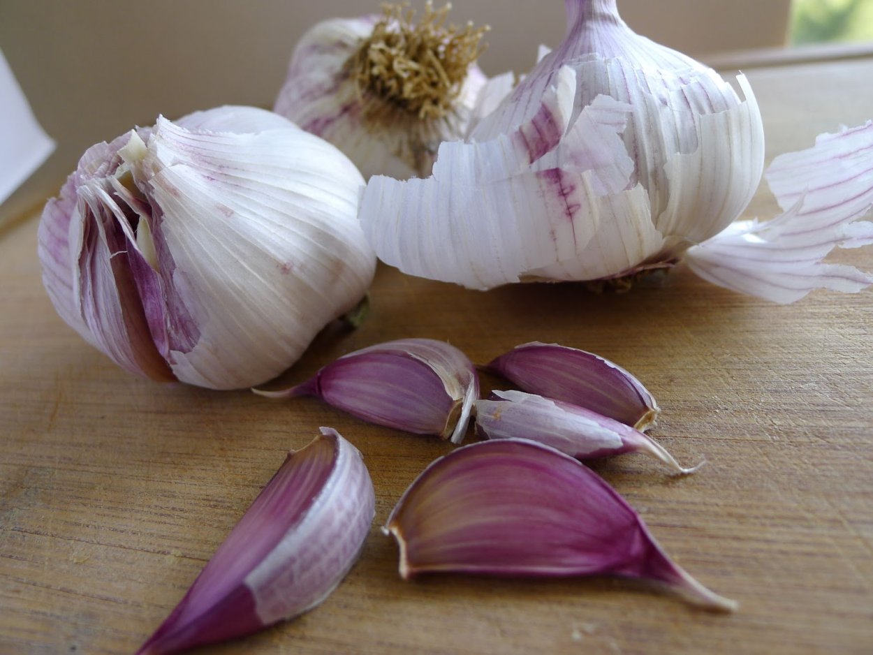 Чеснок Яровой Флавор