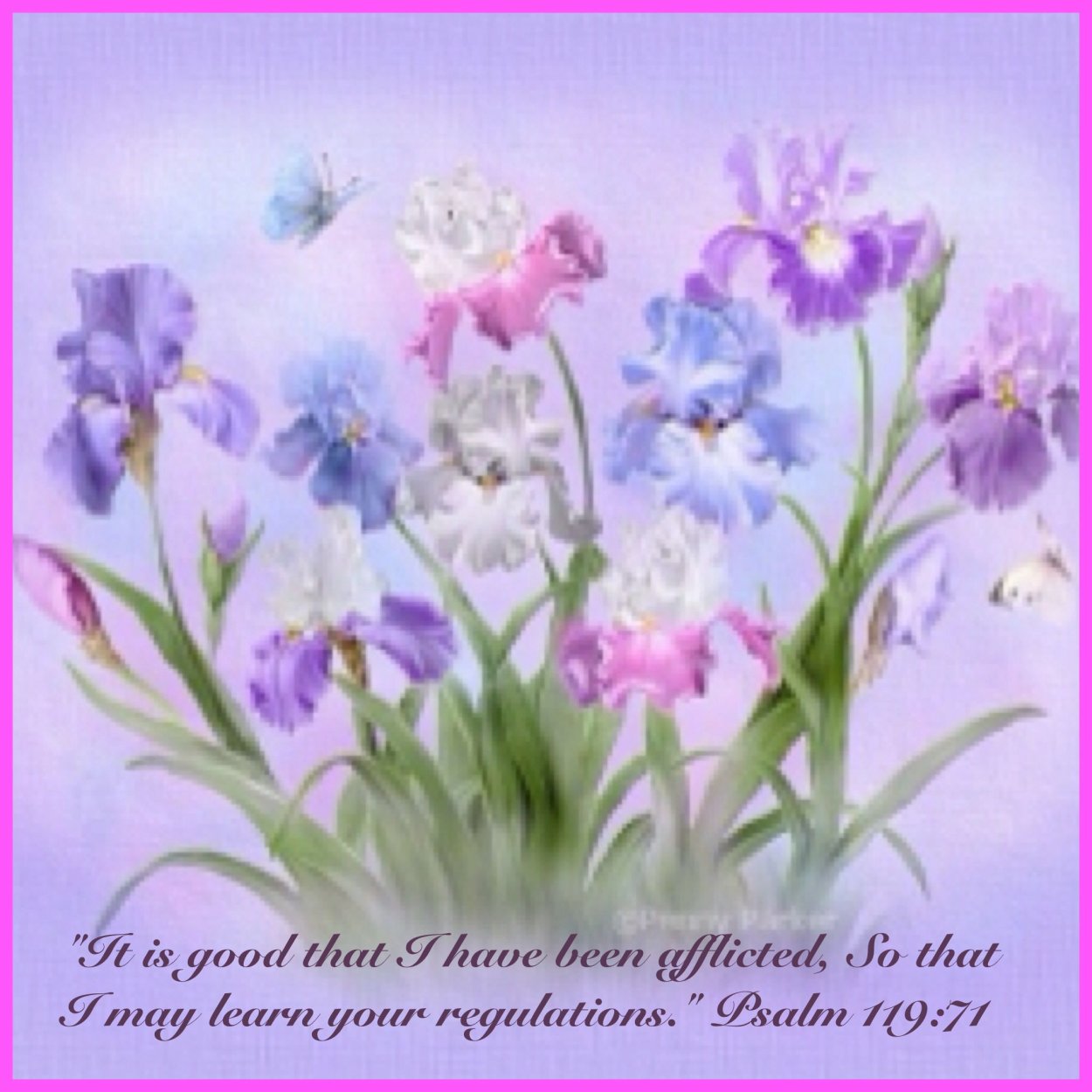 Ирисы поздравляю