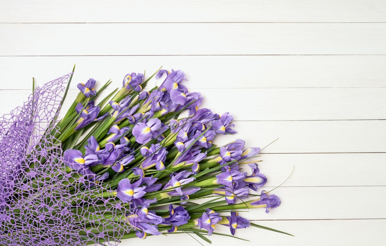 Ирисы букет фон