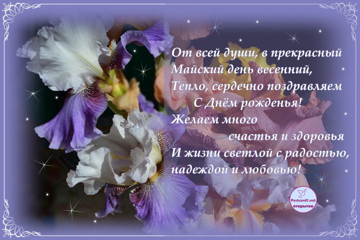 Открытки с ирисами с днем рождения