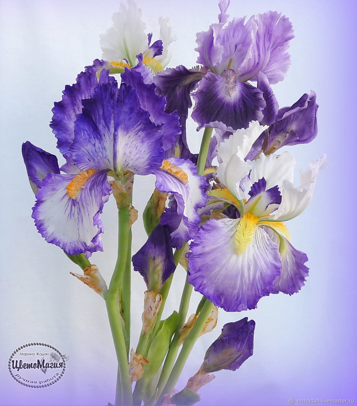 Ирисы бородатые букет