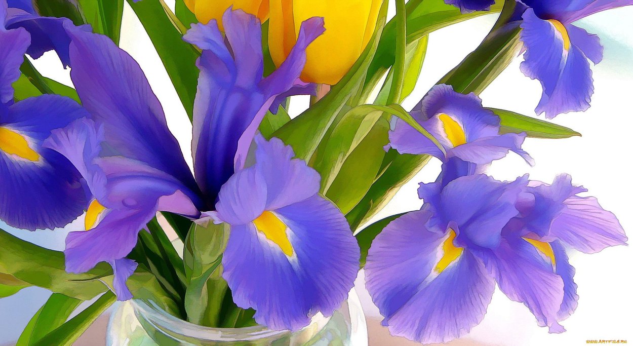 С днем рождения ирисы