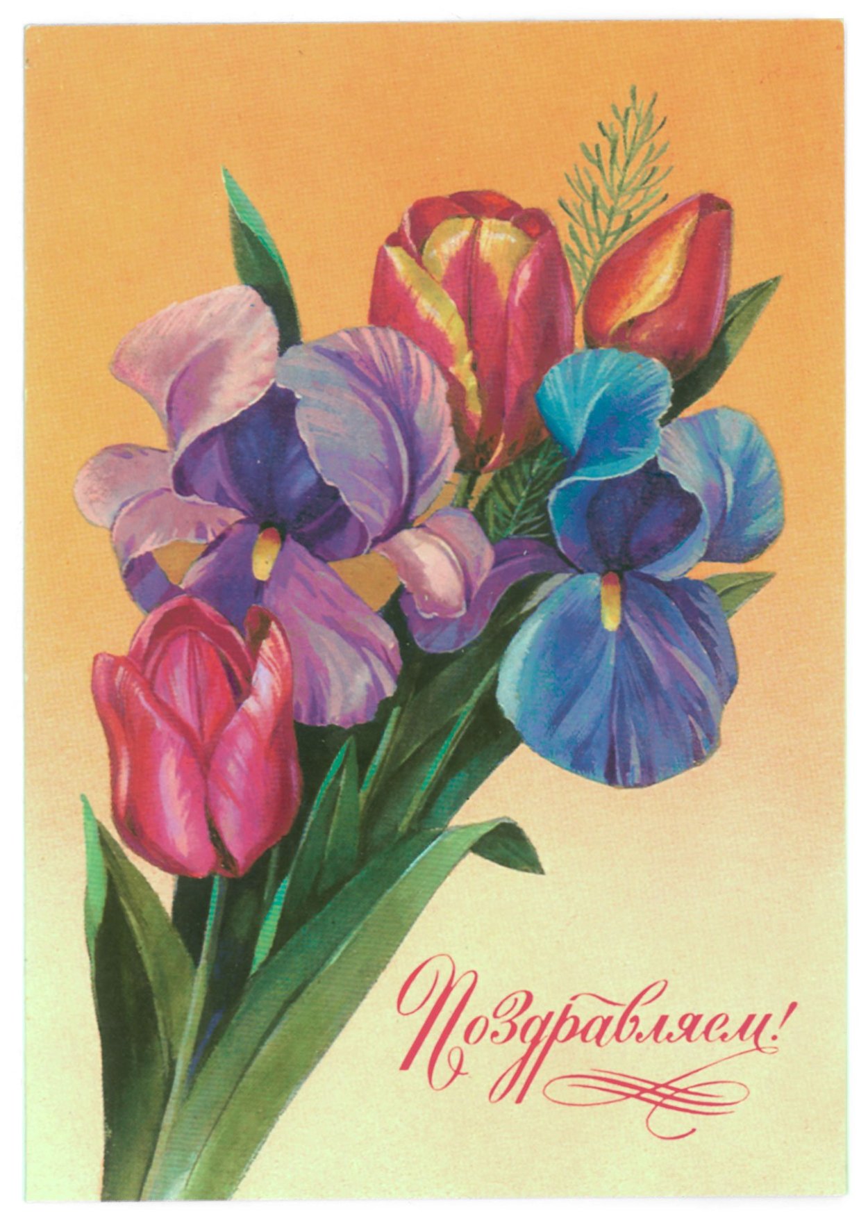Букет ирисов на советских открытках
