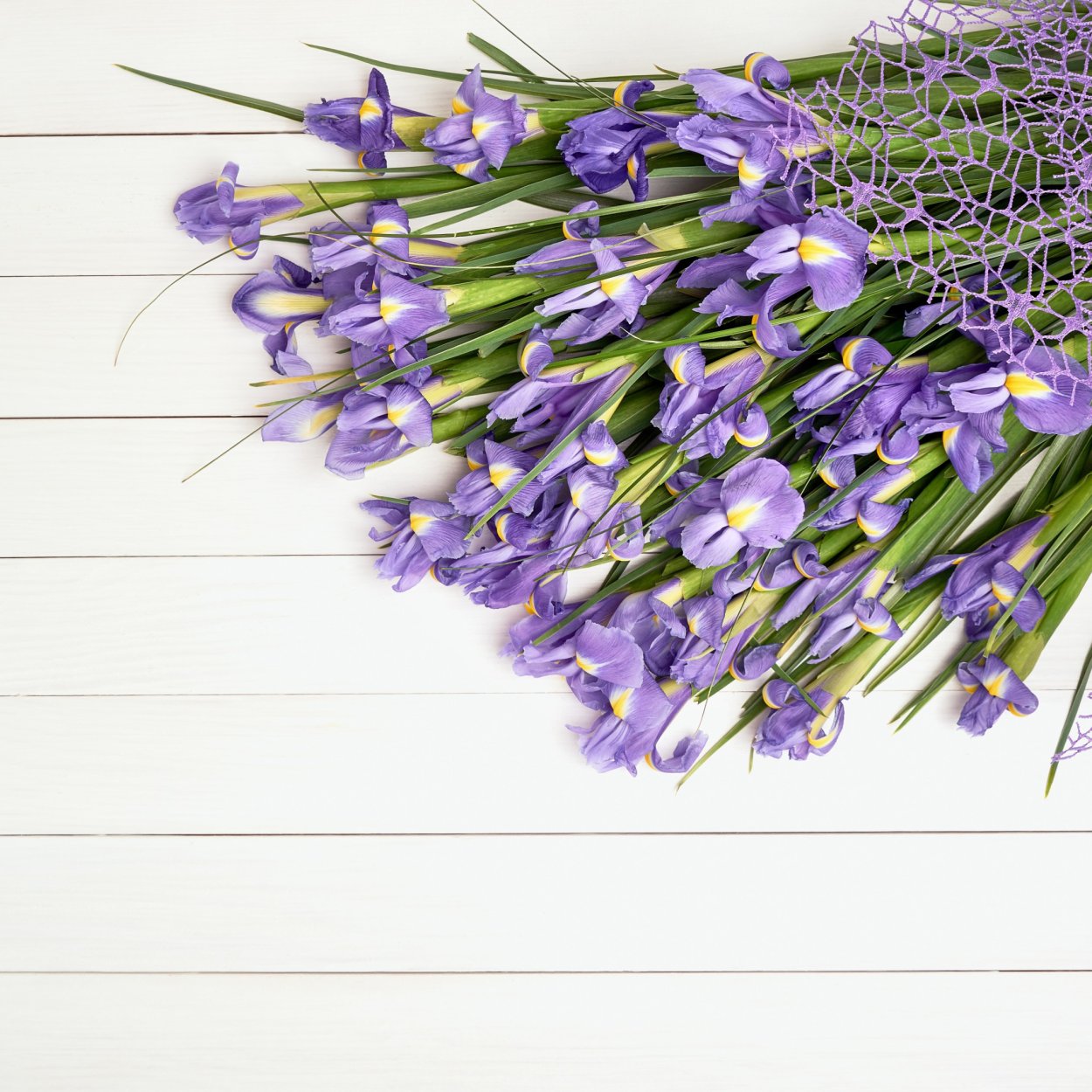 Весенние цветы в букетах на сером фоне