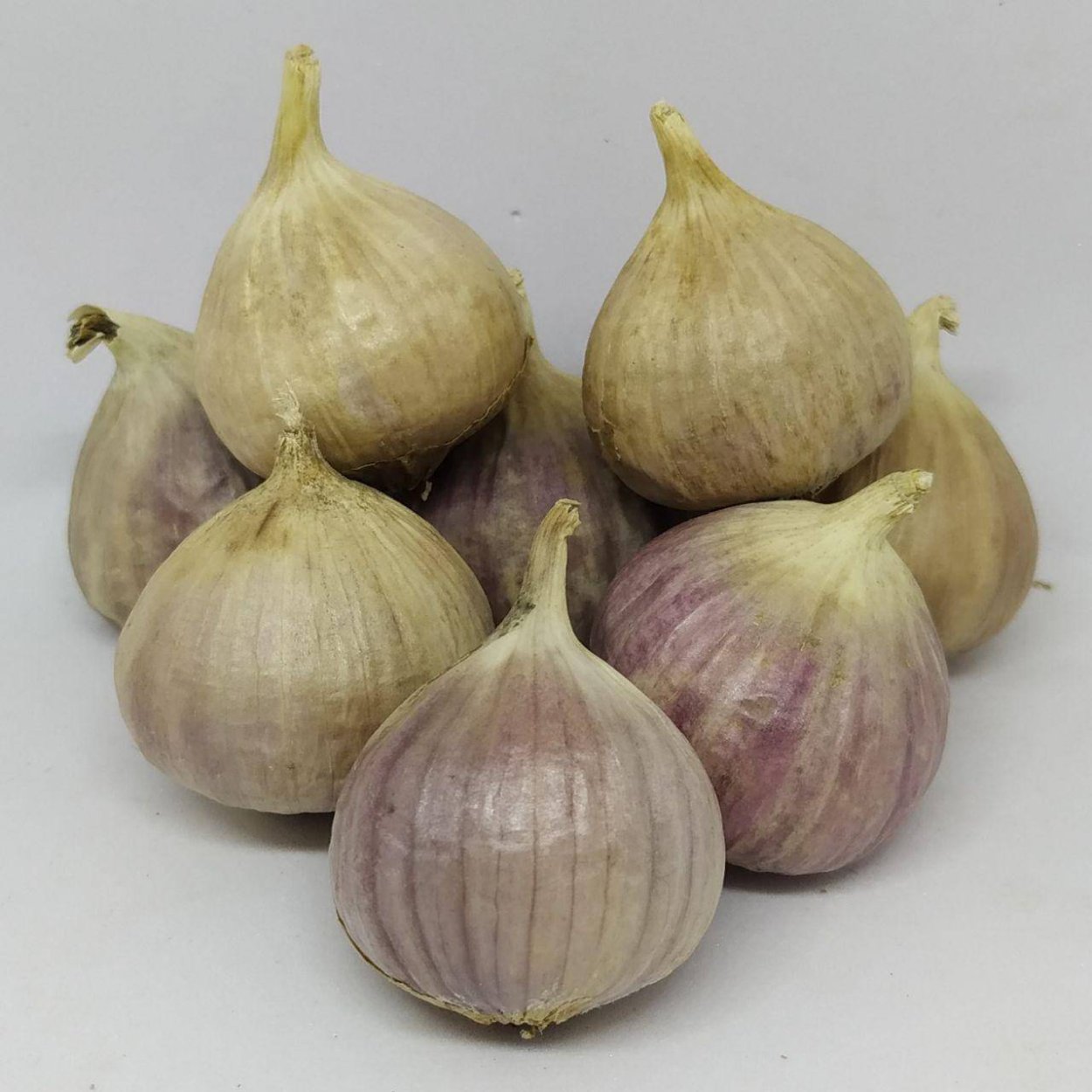 Чеснок однозубковый сорт