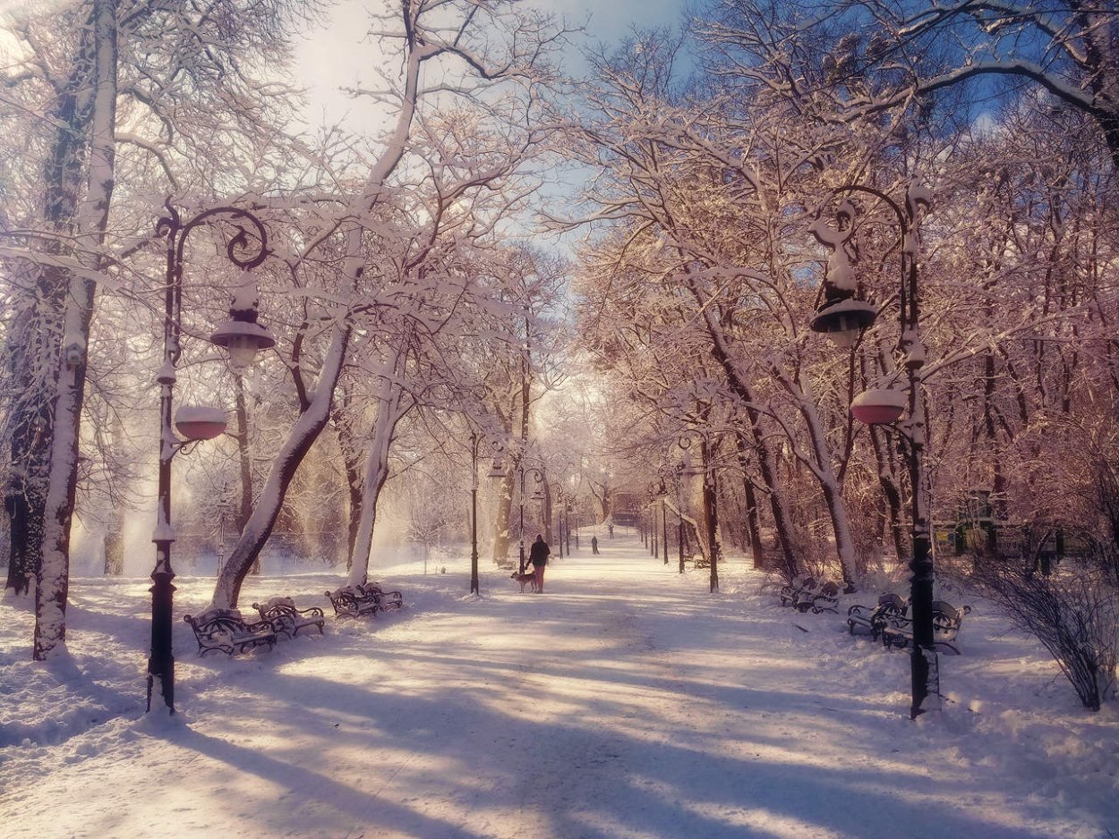 Заснеженный скверик