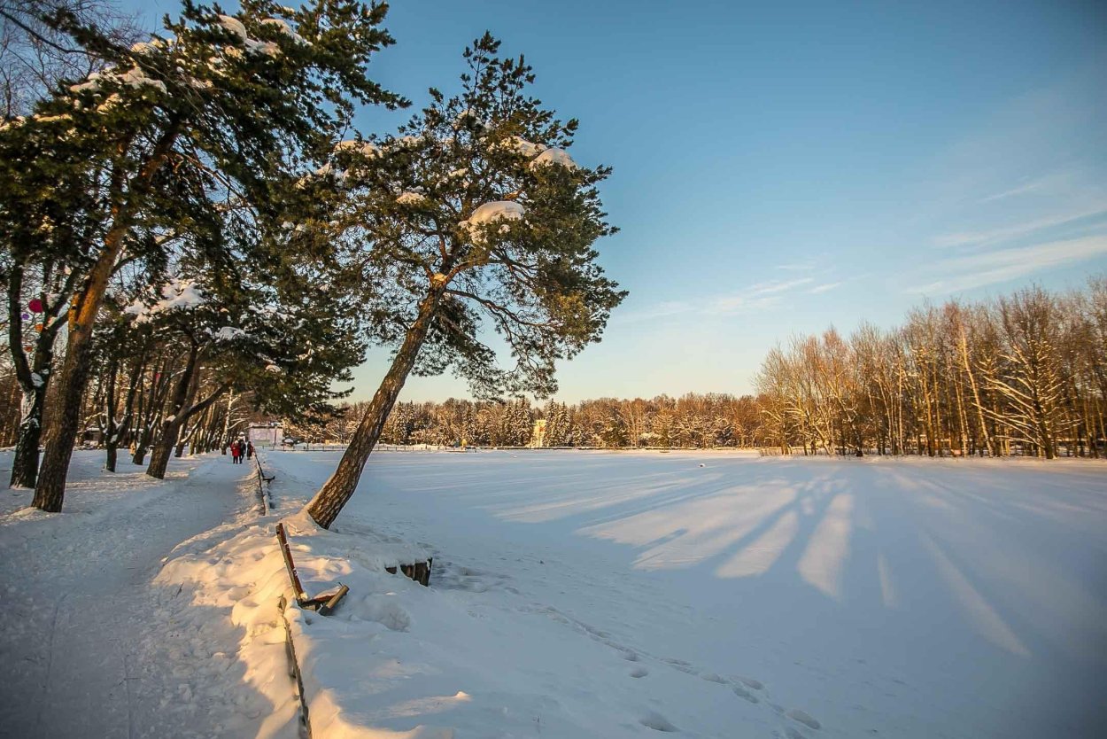 Измайловский парк зимой