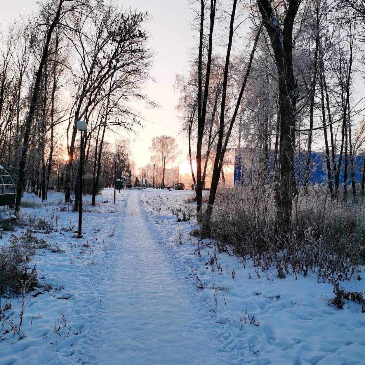 Измайловский парк зимой