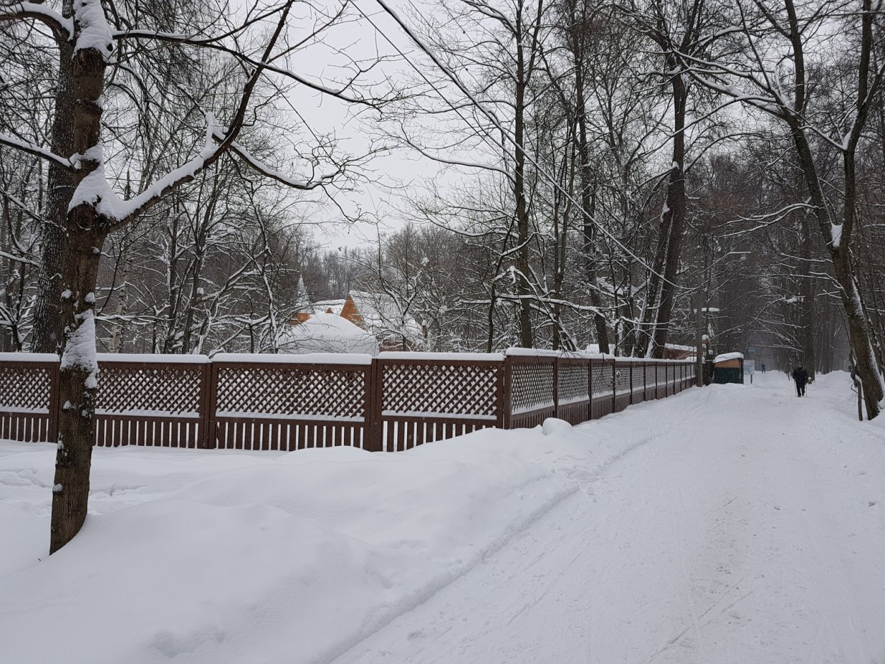 Измайловский парк первый снег