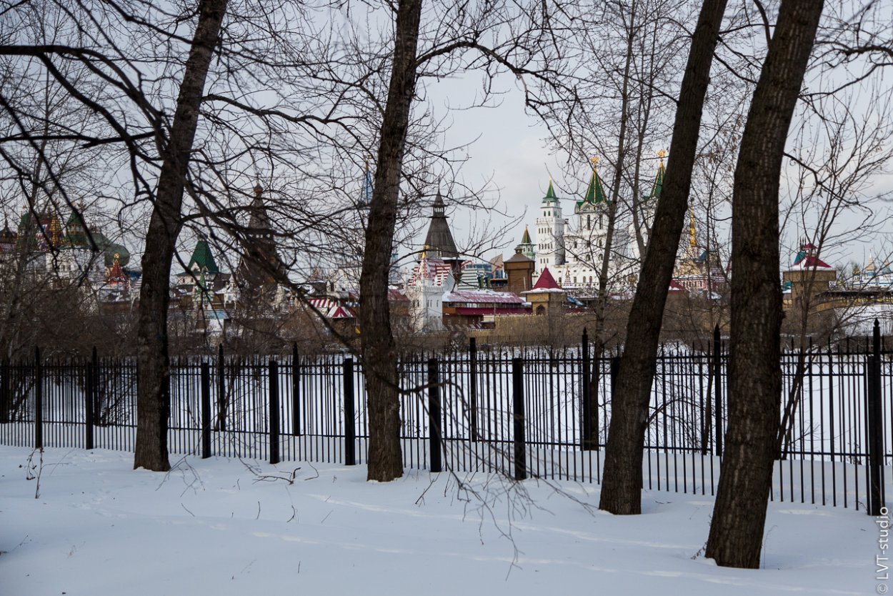 Серебряно-виноградный пруд в Измайлово зимой