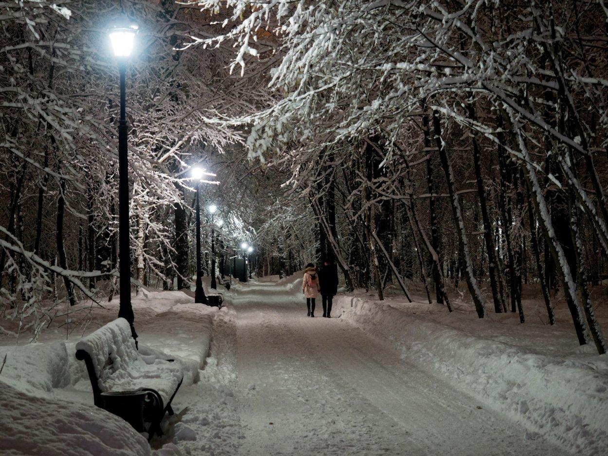 Измайловский парк зимой ночью