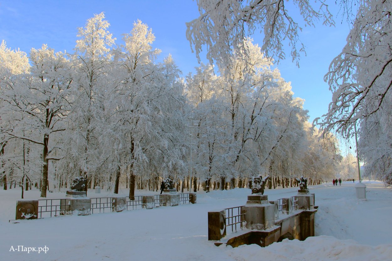 Александровский парк Ульяновск зимой