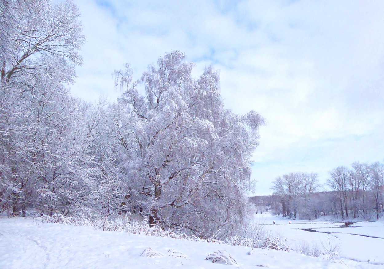 Электрогорск парк зима