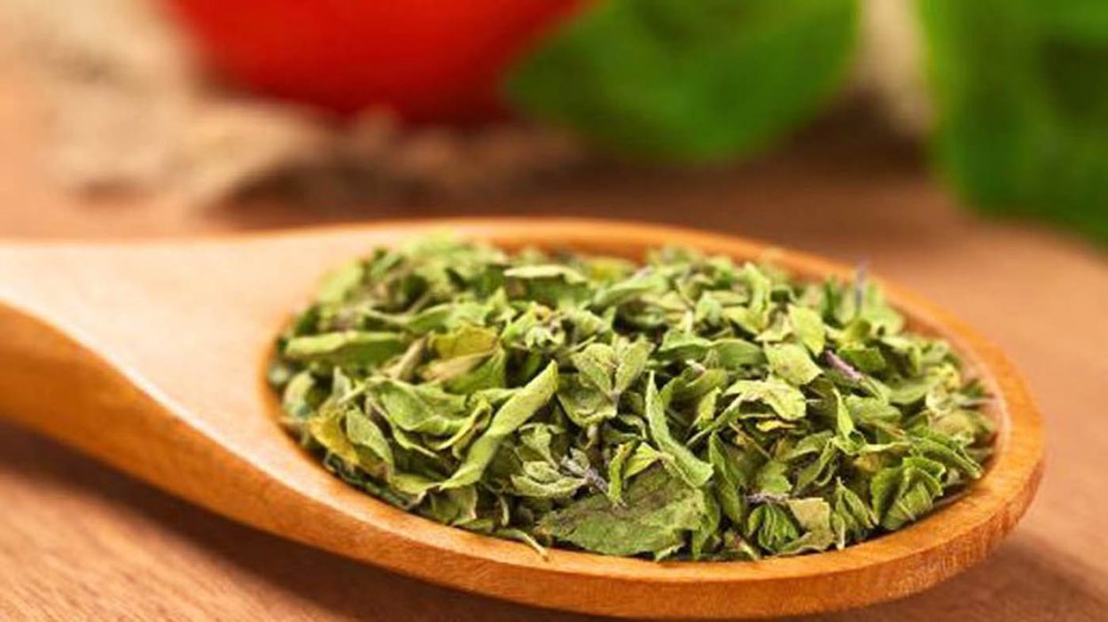 Майоран в итальянской кухне