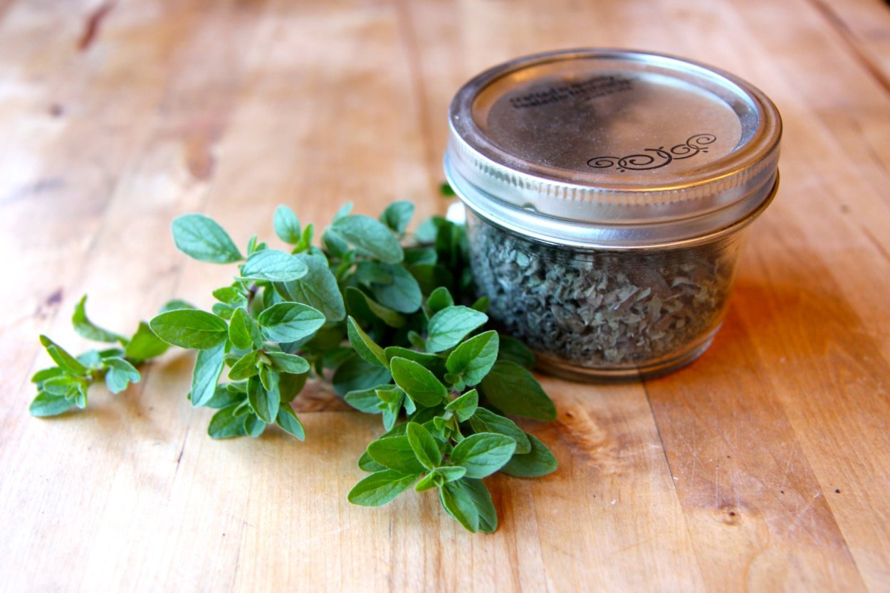 Базилик орегано тимьян