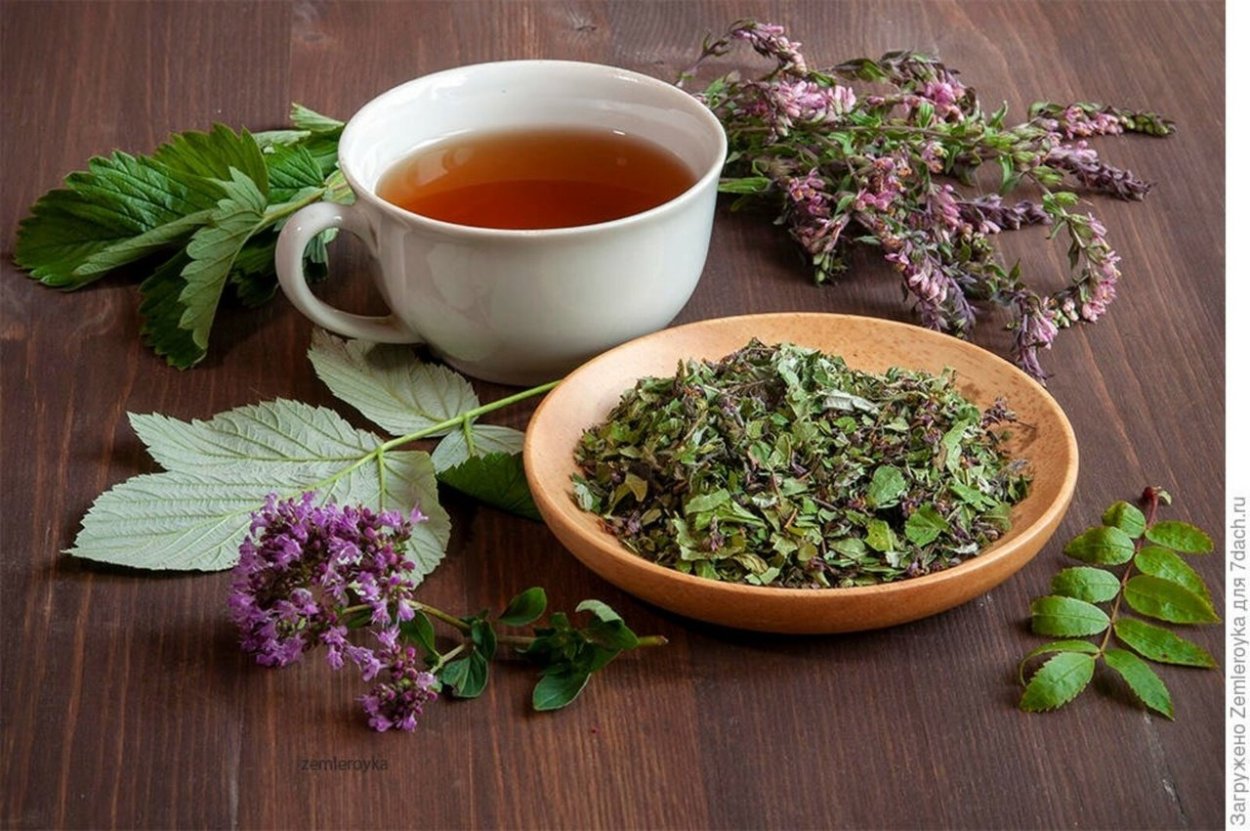 Витаминный чай из трав