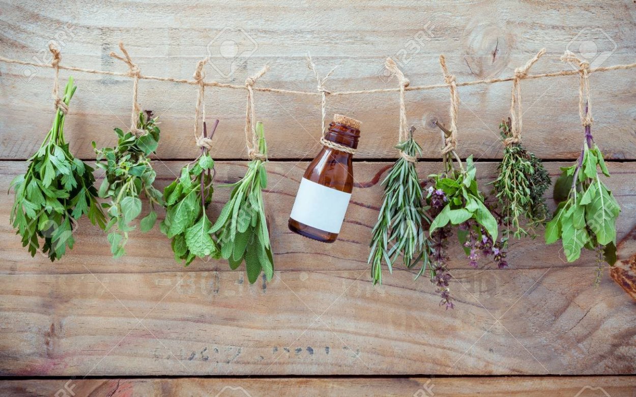 Базилик орегано тимьян