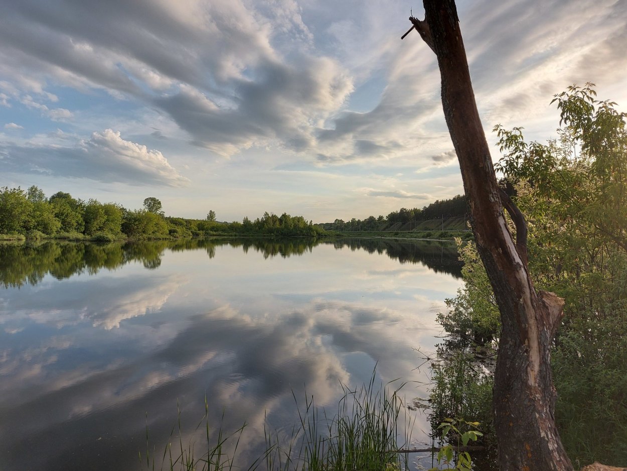 Природа Вятскополянского района