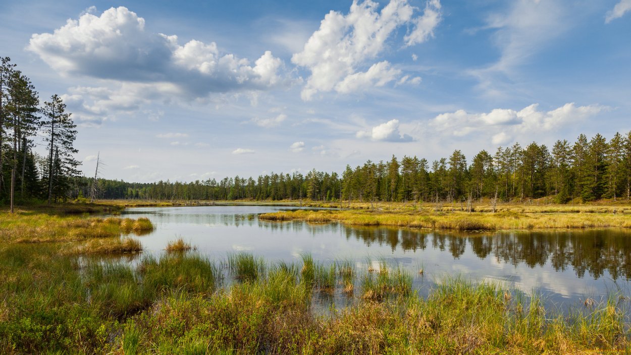 Коми панорама
