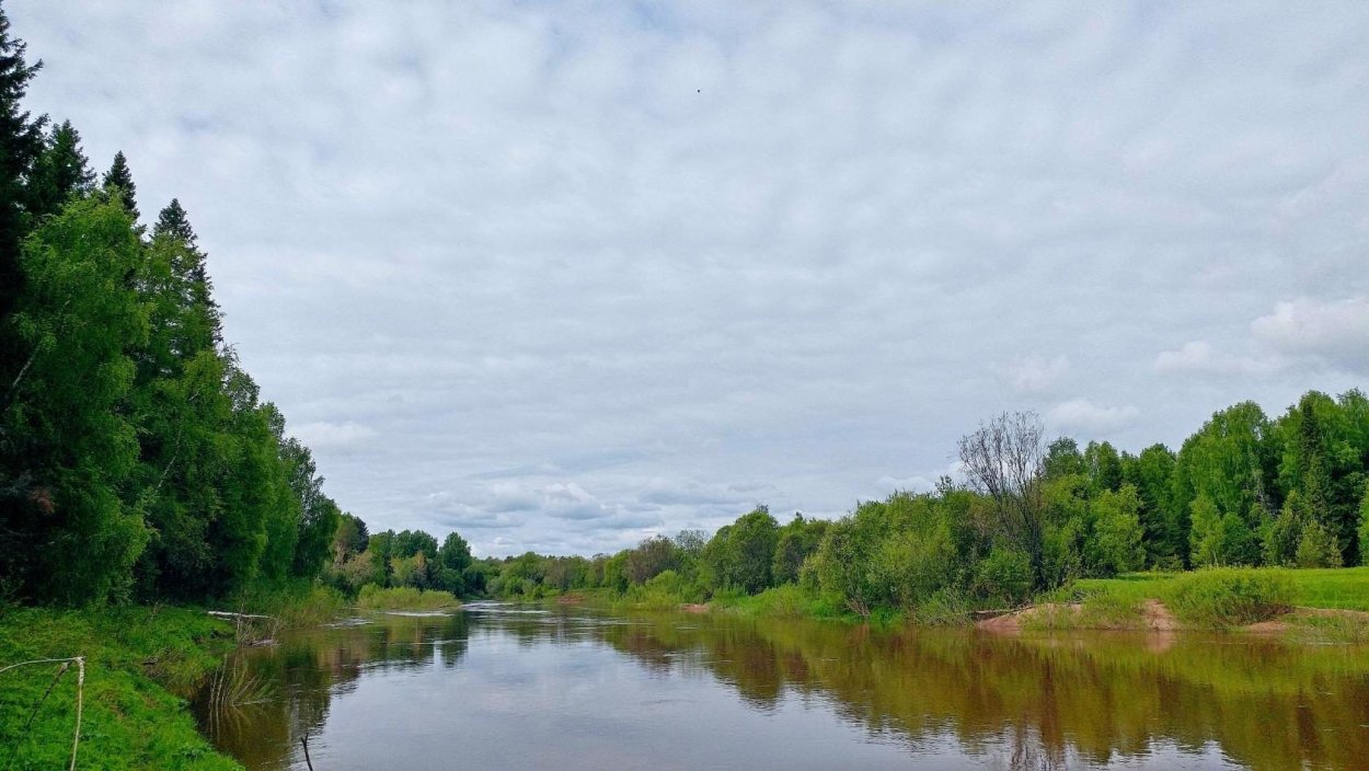 Река Великая Грязовецкий район Вологодская область