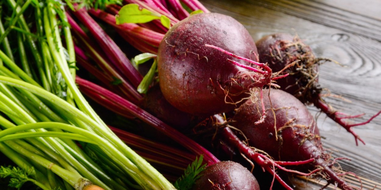 Школьники на свекле